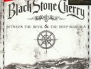 Black Stone Cherry - Between The Devil & The De (Vinyl LP - 2007 - EU - Reissue)