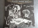 Okkervil River Black Sheep Boy & Appendix 2 X Vinyl LP Printed Inners Lyrics