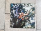 Pink Floyd _ Obscured By Clouds _ Vinile LP 33giri _ 1972 Harvest Italy 2nd