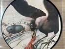 THE ROLLING STONES Still Life LP MISPRESS Picture Disc