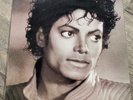 Michael Jackson  The Essential 2 lp Vinyle Rare