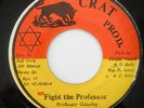 PROFESSOR GRIZZLY Fight The Professor CRAT 45 KILLER REGGAE DANCEHALL