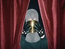 New Music Spy 