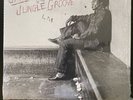 James Brown - In The Jungle Groove (2LP’s, Reissue, 2014, NM, Comp)