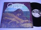 SHRINK Grateful Dead Wake of the Flood 1973 LP VG++ PSYCH