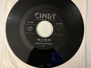 The Isley Brothers This Is The End Don’t Be Jealous Cindy Records 45 RPM R1783