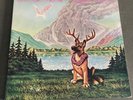 Little Feat - Hoy-Hoy  1981 Classic Rock Double LP Vinyl Record Album w/ Booklet