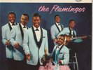 The Flamingos 