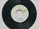 THE EQUATORS - GET UP STAND UP / ETHNIC FIGHT  - STAND UP DUB / 7
