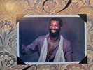 Teddy Pendergrass Greatest hits LP 33rpm record 12