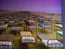 PINK FLOYD - A MOMENTARY LAPSE OF REASON - NL 87 - MINT-NM