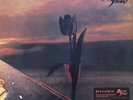 The Pretty Things Parachute NEAR MINT Madfish 2xVinyl LP