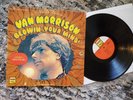 VAN MORRISON Blowin' Your Mind Bang LP psych garage Brown Eyed Girl