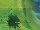 Eiafuawn Birds In the Ground LP Vinyl NEW