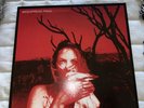 Everyday by Widespread Panic (Record, 2021) Phish Grateful Dead Vinyl Lp