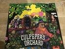 Culpepers Orchard Polydor Danish Psych Folk Rare 1st Press