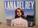 Lana Del Rey – Born to Die double 2 LP vinyl record album