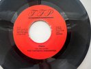 Rare Sweet Soul Gospel 45 / The Fantastic Jordanires 