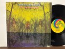 The American Blues Do Their Thing OG LP on Uni Acid Archives US SALES ONLY