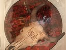 Lamb Of God – As The Palaces Burn LP USED NM/G+ Picture Disc