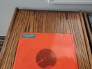 The  Devil Put Dinosaurs Here by Alice in Chains (2LPVinyl2013Capitol) Picture D