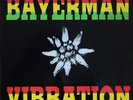 Bayerman Vibration NEAR MINT United Sounds Of All Productions Vinyl LP