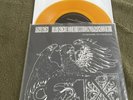 No Tolerance 7” Gold Vinyl Stop & Think  Rival mob Sxe Hardcore NYHC