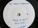 THE SHAKIN' PYRAMIDS Take A Trip - UK 7