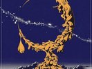 PIGS PIGS PIGS PIGS PIGS PIGS PIGS - LAND OF SLEEPER NEW VINYL