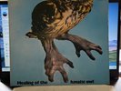 Brainchild-Healing of the lunatic owl, UK prog orig. 1st.UK press A&M rec. 1970