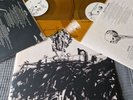 Avenged Sevenfold - Life Is But A Dream... Vinyl (Transparent Orange)