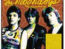 the moondogs  That's what friends are for vinyl lp  new sealed pre order 3/11/23