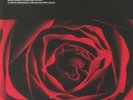 CHE - Sounds Of Liberation - Vinyl (LP)