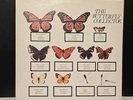 the jam the butterfly collector vinyl double lp mod rare 