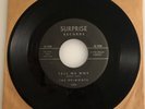 The Belmonts / Tell Me Why / 1961 Rare Surprise Label 45rpm  / Strong VG++