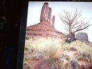 NEW RIDERS OF THE PURPLE SAGE