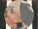 Blonde Parallel Lines Rare Picture Disc Vinyl