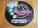 Blink 182 - Feeling This 7