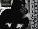 Viktor Vaughn 2 x LP Vaudeville Villain / MF DOOM New & Sealed RSD