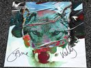 STEREOPHONICS fully signed  scream above the sounds 2017 ALBUM vinyl LP