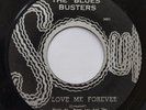 The Blues Busters 