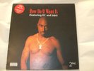 2PAC HOW DO YOU WANT IT / CALIFORNIA LOVE 12