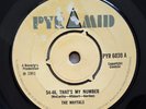 THE MAYTALS - 54-46, That's My Number   1968  7
