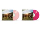 K-Pop DAY6 - 1st Album [Sunrise] LP Vinyl (Random version) (DAY601LP)