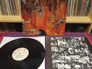 SLAYER - Hell Awaits Roadrunner 1st press AUTOGRAPHED BY ALL 4