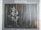 Genesis ‎– The Hiding Place. Ltd Edition Promo Copy. 1970 GNV 100. Test Played.