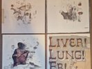 Frightened Rabbit - Midnight Organ Fight Vinyl 2LP Record Store Day FATLP70LTD