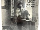 Billy Bang on Anima 1002