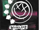 BLINK-182 Feeling This on Geffen punk 45 signed by Tom Delonge