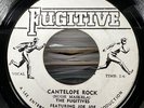 The Fugitives - Cantelope Rock / The Lecture 7